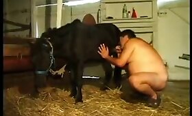 gay animal porn, zoo fuck porn