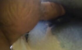 mare with man, zoo fucking videos