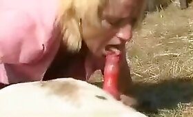 animal cock, dog animal sex