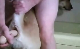 dog animal sex, animal fuck porn