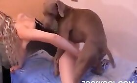 dog animal sex, bestiality sex