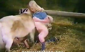 Pony-Porno, Video mit Zoofilie