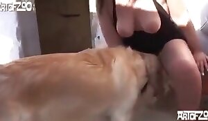 Amimalsex Girl - Dog fucks girl in front of everyone. Free bestiality and animal porn