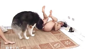 Www Xxx Mard Dog Video - Dog sex with women from brazil. Free bestiality and animal porn