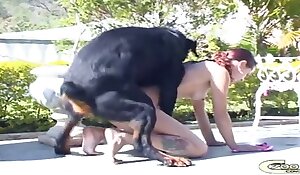 Free Dog Sex Videos. Free bestiality and animal porn . Top rated