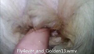 fingering while sucking animal cock, vid xxx zoo free