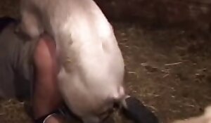 Pig Sex With Girl Porn - Pig Fuck Xxx Porn. Free bestiality and animal porn . Top rated