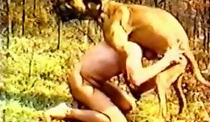 outdoors zoofilia records, animal and human porn clips