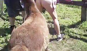 fuck zoo porn videos, horse beastiality free porn