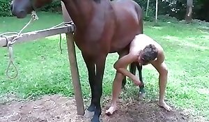 gay animal sex stories, horse beastiality free porn