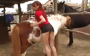 pony, zoophilia fuck porn