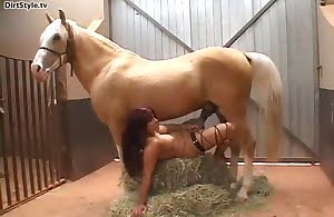 dick, horse-porn