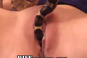 sexy, snake