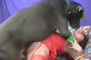 Zoo Porn - the best zoo animal porn tube with cool zoo sex video.