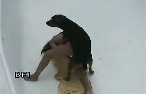 doggy-porn , getting-fucked-horse