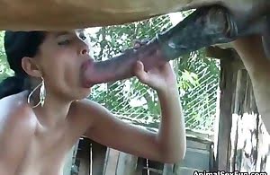zoophile, beastiality-porn-videos