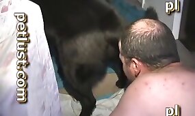 sex with animals, anal zoo sex