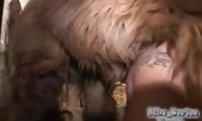 Animalsex Iitalian - Animal Sex. Bestiality and zoo porn videos. Free animal porn movies. . Top  rated
