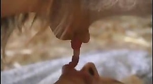 video sex vườn thú,babes zoophiles