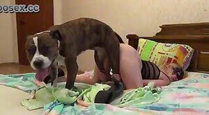 bestiality-porn,dog-porn
