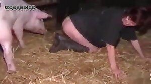 farm-sex,animal-sex
