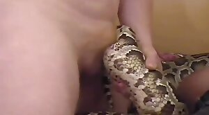 animal-sex,free-videos
