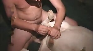 animal-fucked,dog-porn