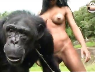Monkey sex, exotic animal sex, beastiality sex
