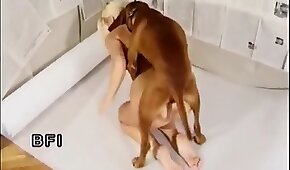 dog sex, animal fuck sex