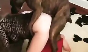 fucking with animals, dog sex