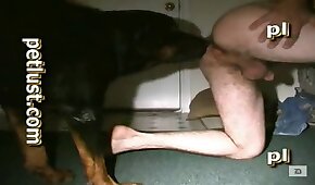dog sex, zoo fuck porn