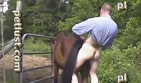 horse bestiality, zoo fuck porn